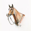 "Red Roan" Print on Archival Fine Art Paper