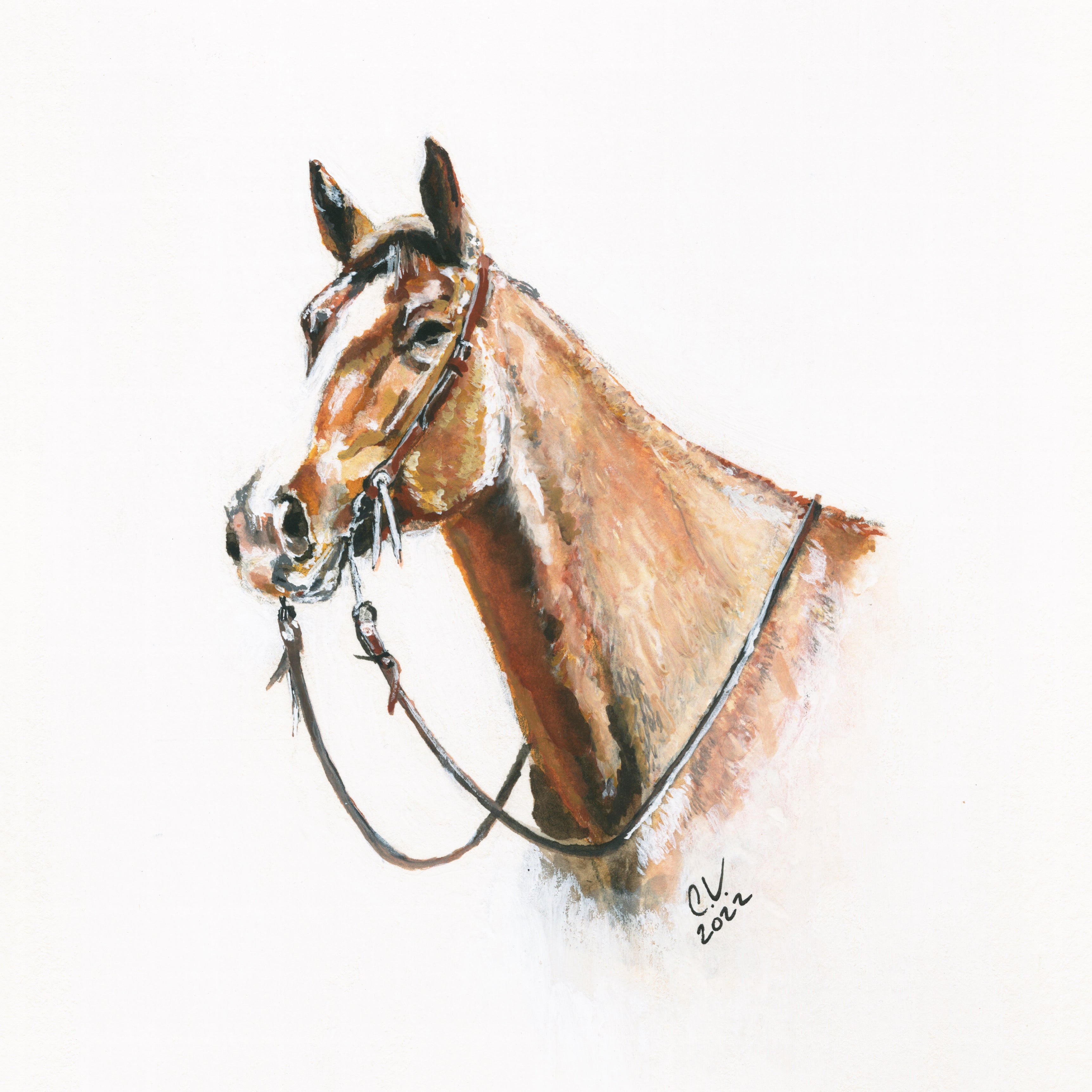 "Red Roan" Print on Archival Fine Art Paper