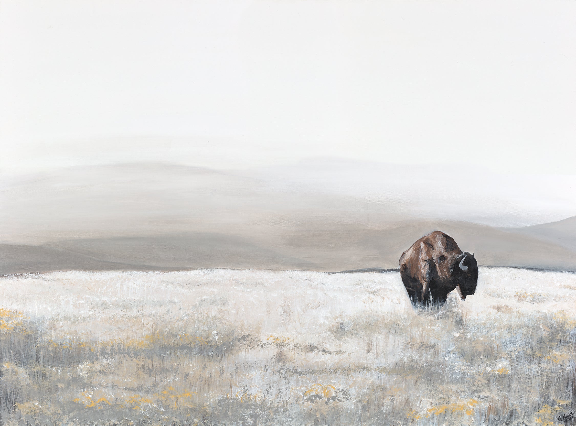 "Lone Bison" Print on Artisan Archival Canvas
