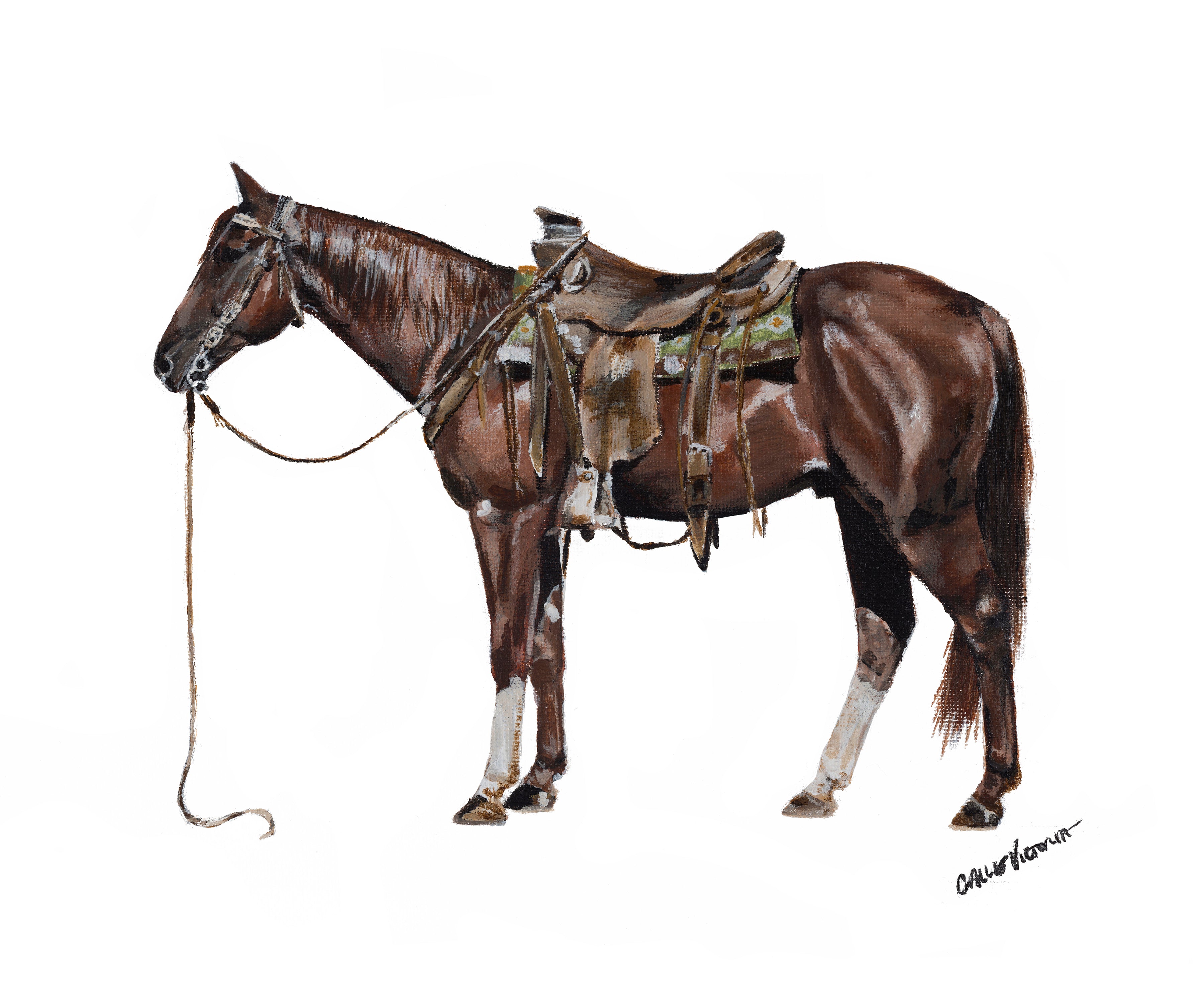 "Teddy" Print on Archival Fine Art Paper