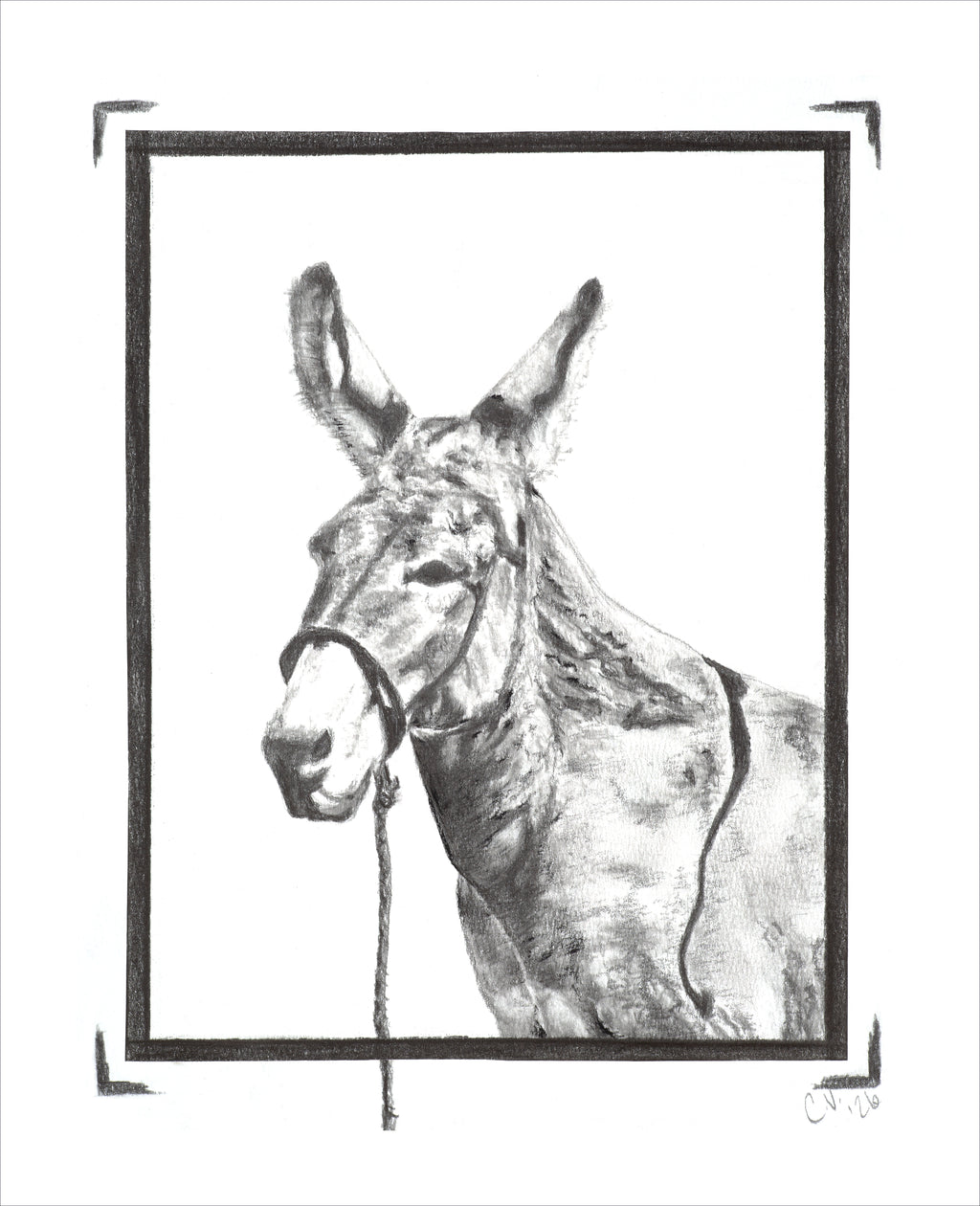 "Burro" Print on Archival Fine Art Paper