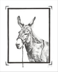 "Burro" Print on Archival Fine Art Paper