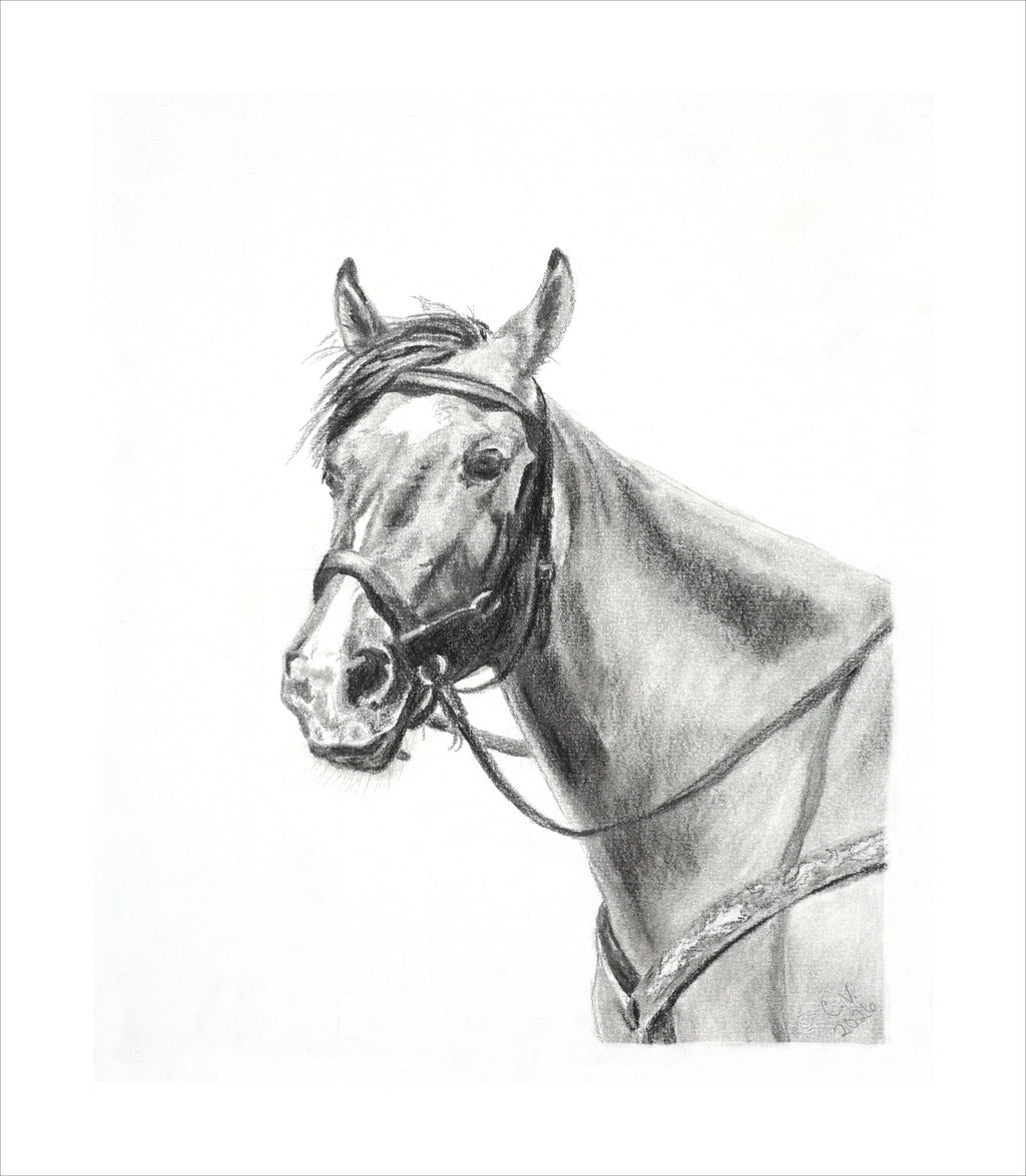 "Tiamo" Print of Archival Fine Art Paper