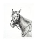 "Tiamo" Print of Archival Fine Art Paper
