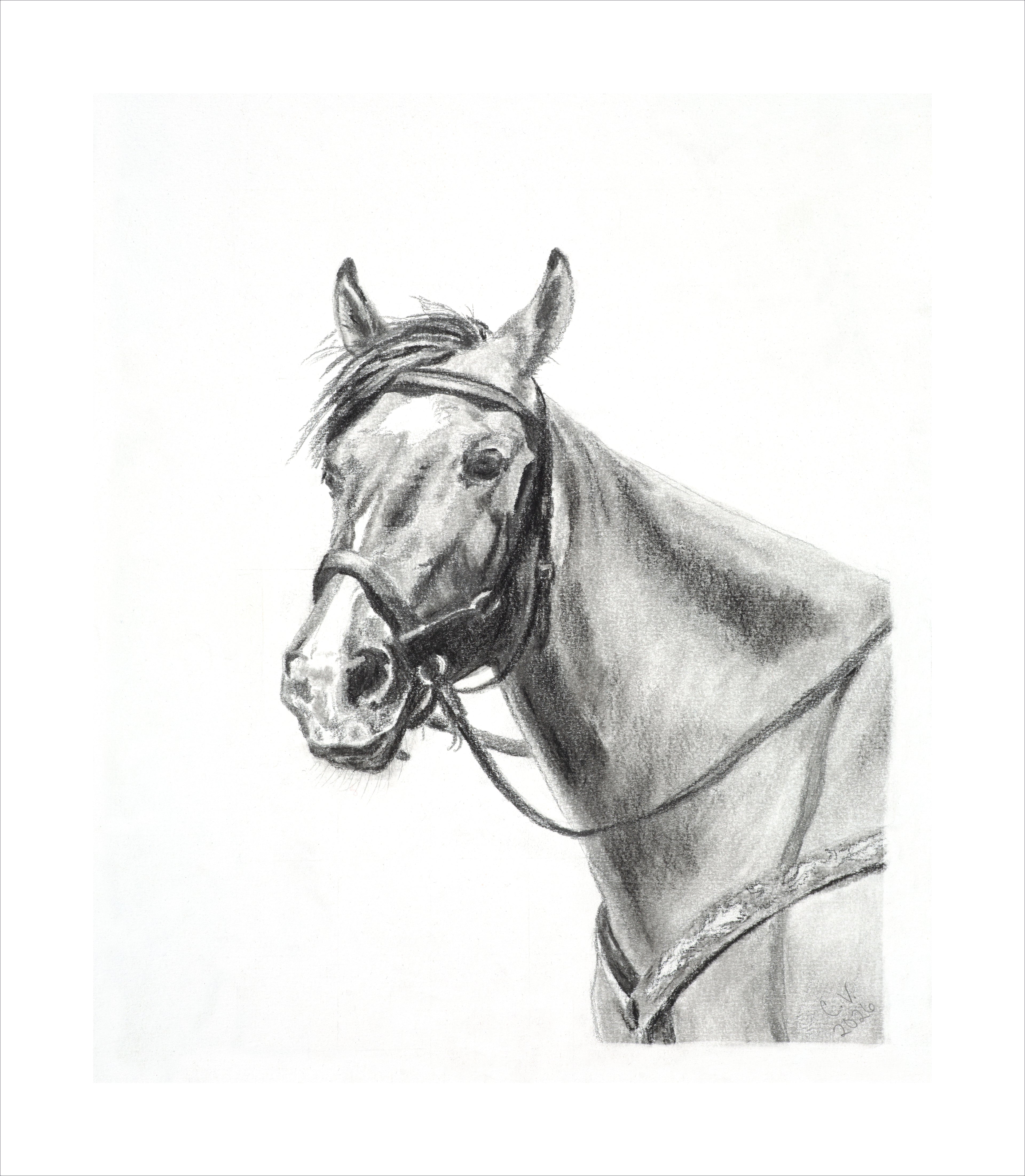 "Tiamo" Print of Archival Fine Art Paper
