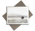 "Lone Bison" Notecards - Set of 10